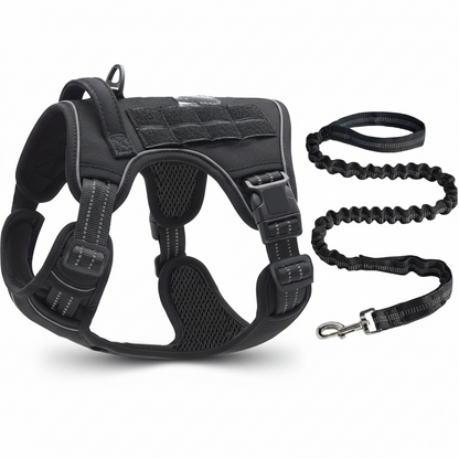 Whisk & Wag™ No-Pull Dog Harness & Bungee Leash