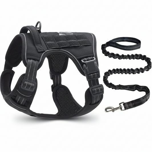 Whisk & Wag™ No-Pull Dog Harness & Bungee Leash
