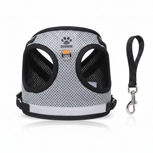 Whisk & Wag™ Breathable Vest Harness & Leash Set