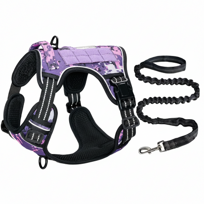 Whisk & Wag™ No-Pull Dog Harness & Bungee Leash